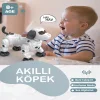 Uzaktan Kumandalı Işıklı ve Sesli Akıllı Robot Köpek