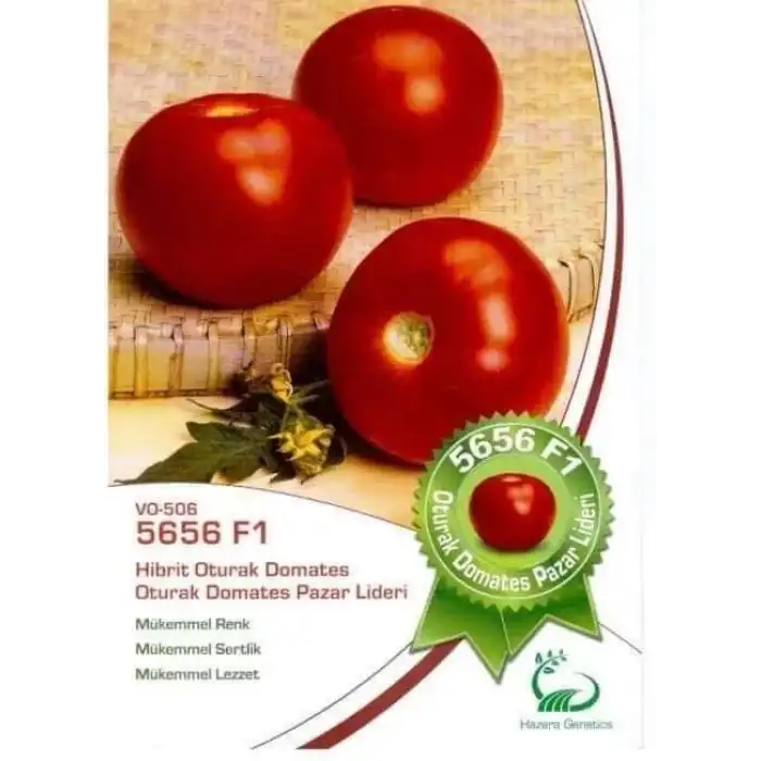 5656 F1 Oturak Domates Fidesi