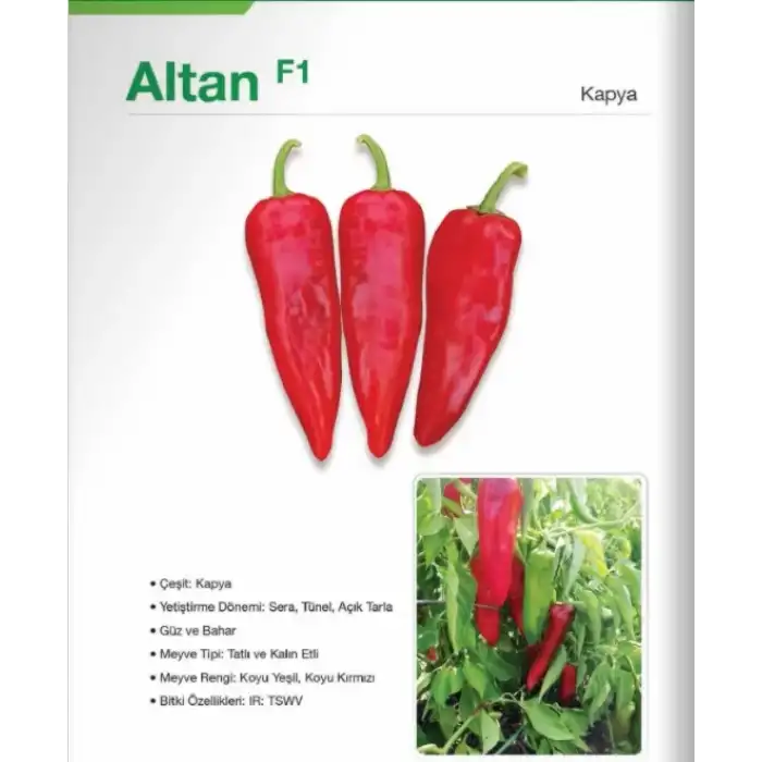 Altan F1 Kapya Biber Fidesi