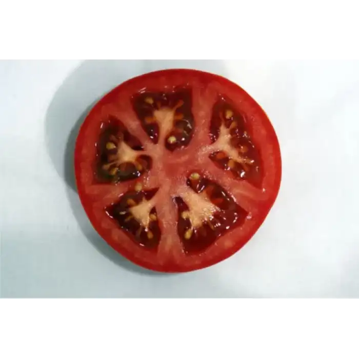 Alyanak F1 Sırık Domates Fidesi