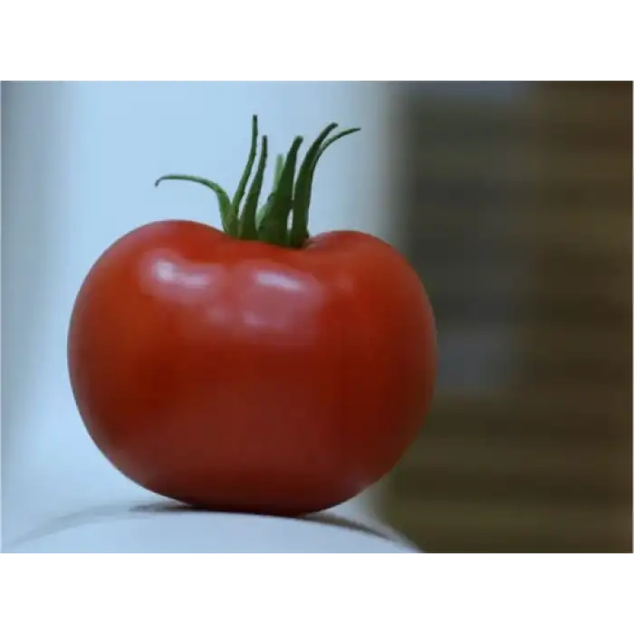 Alyanak F1 Sırık Domates Fidesi