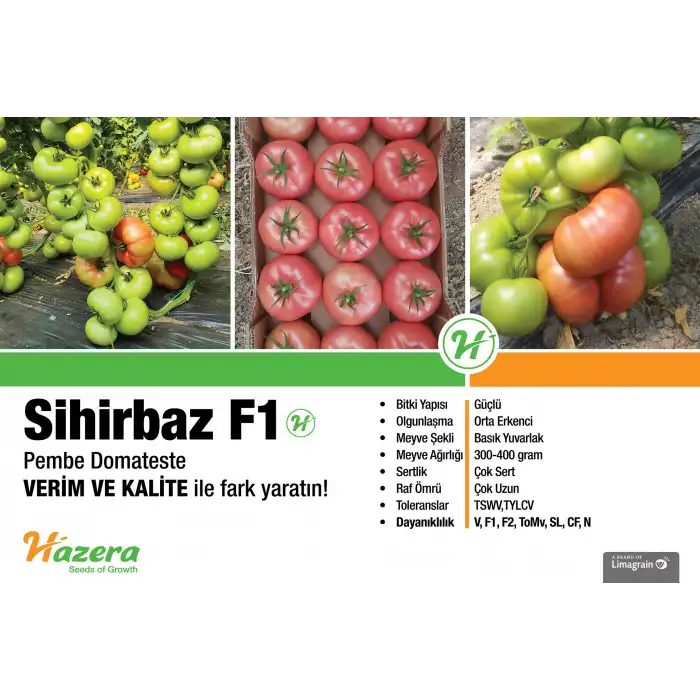 Aşılı Sihirbaz F1 Pembe Domates Fidesi