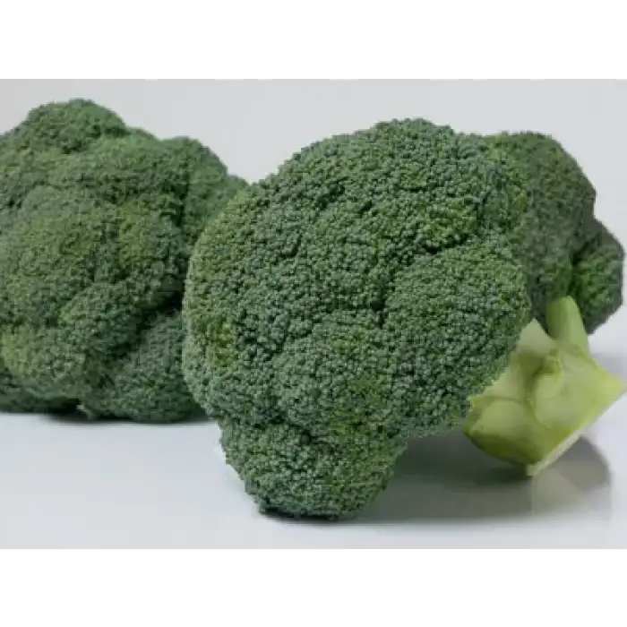 Batavia F1 Brokoli Fidesi