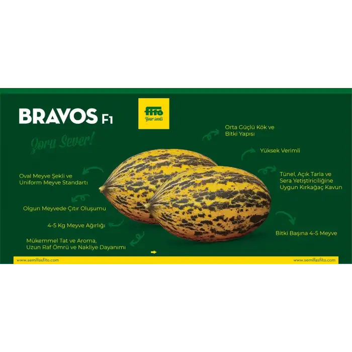 Bravos F1 Kırkağaç Kavun Fidesi