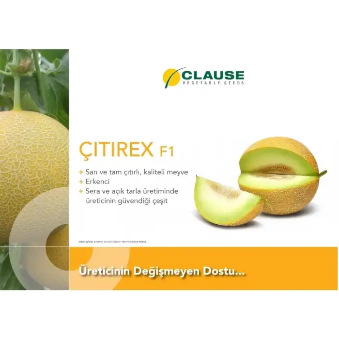 Çıtırex F1 Galia Kavun Fidesi
