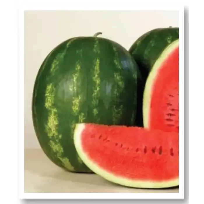 Crimson Swet Karpuz Fidesi