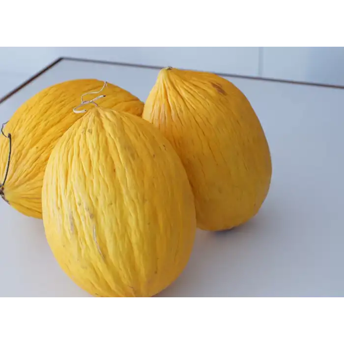 Davutbey F1 Sarı Kavun Fidesi