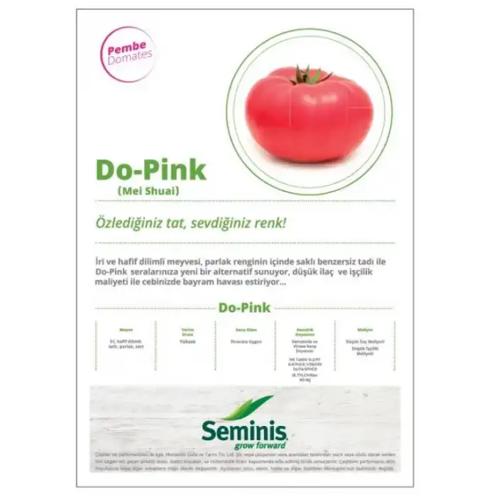 Dopink F1 Sırık Pembe Domates Fidesi