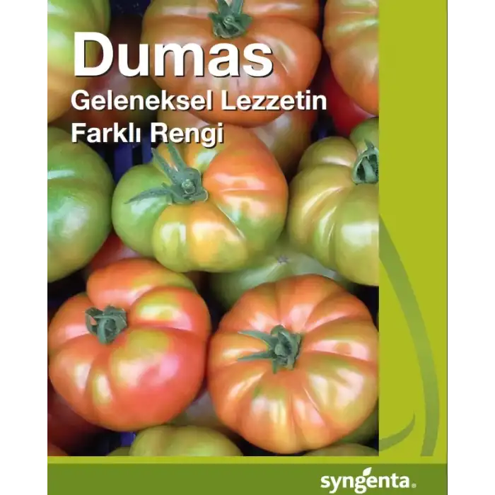 Dumas F1 Köy Domates Fidesi