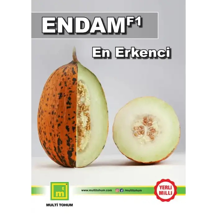 Endam F1 Kırkağaç Kavun Fidesi