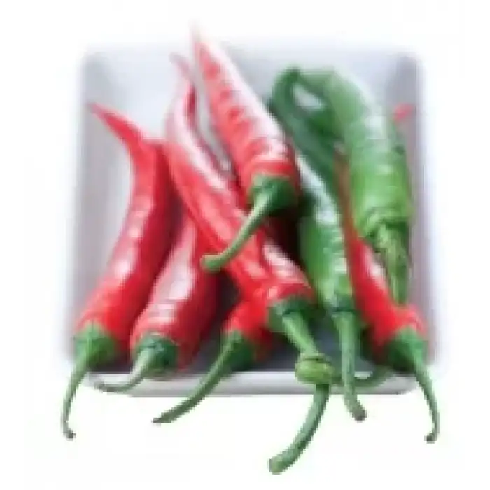 Habib F1 Şili Biber Fidesi