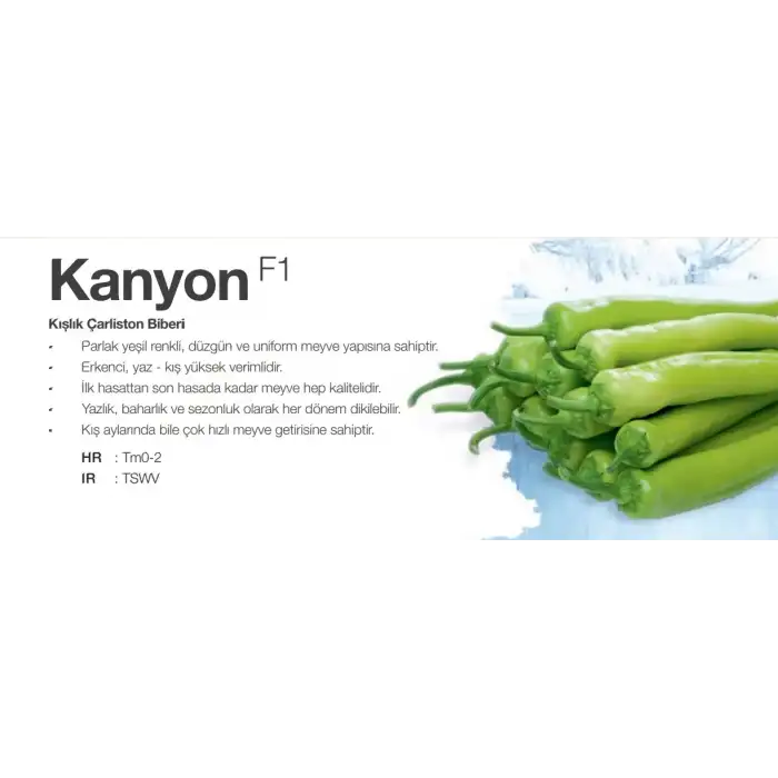Kanyon F1 Çarli Biber Fidesi