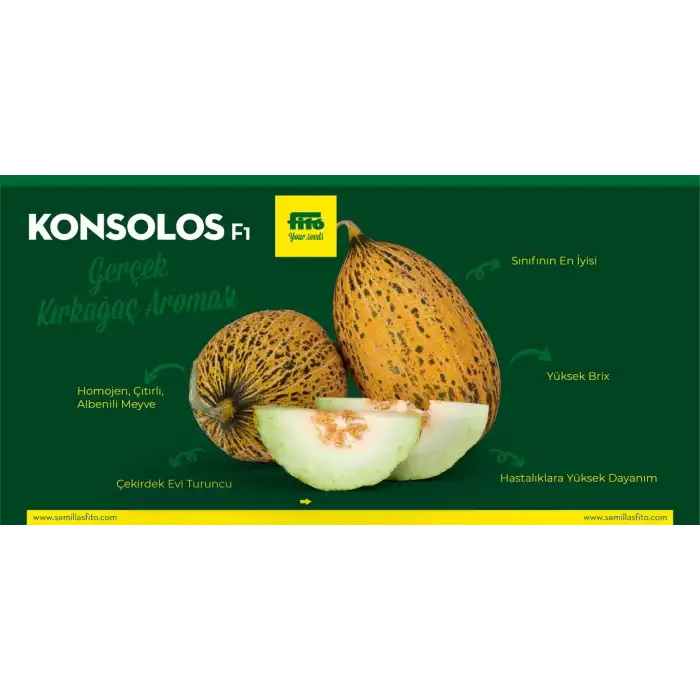 Konsolos F1 Kırkağaç Kavun Fidesi