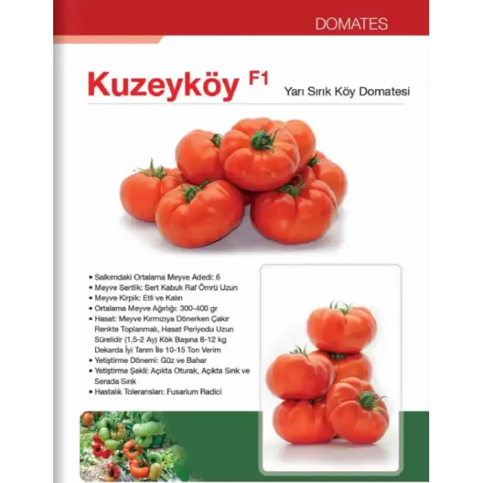 Kuzeyköy F1 Köy Tipi Domates Fidesi