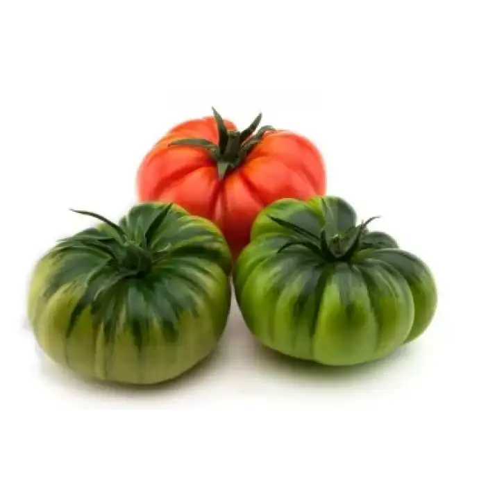 Maremagno F1 Köy Tipi Domates Fidesi