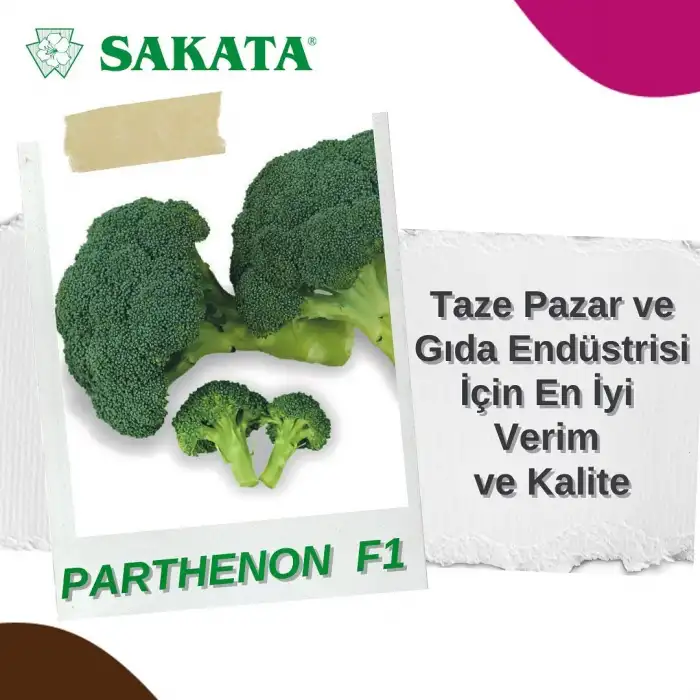 Parthenon F1 Brokoli Fidesi