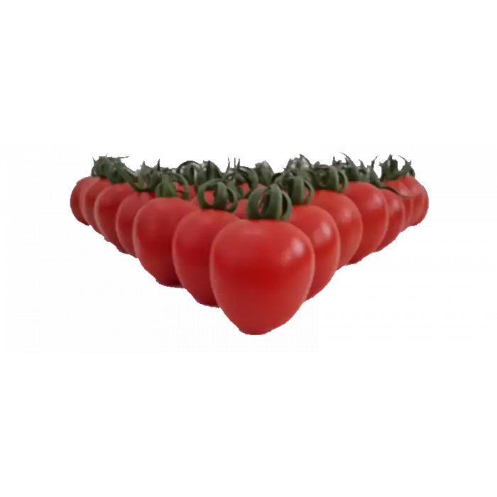 Trend F1 Kokteyl Domates Fidesi