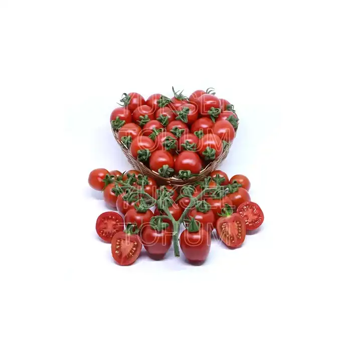 Uluhan F1 Kokteyl Domates Fidesi