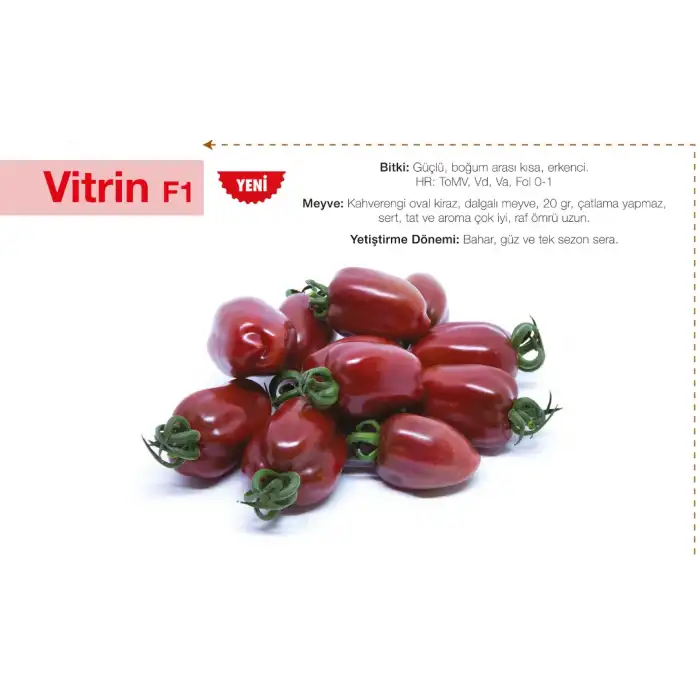Vitrin F1 Kahverengi Kiraz Domates Tohumu