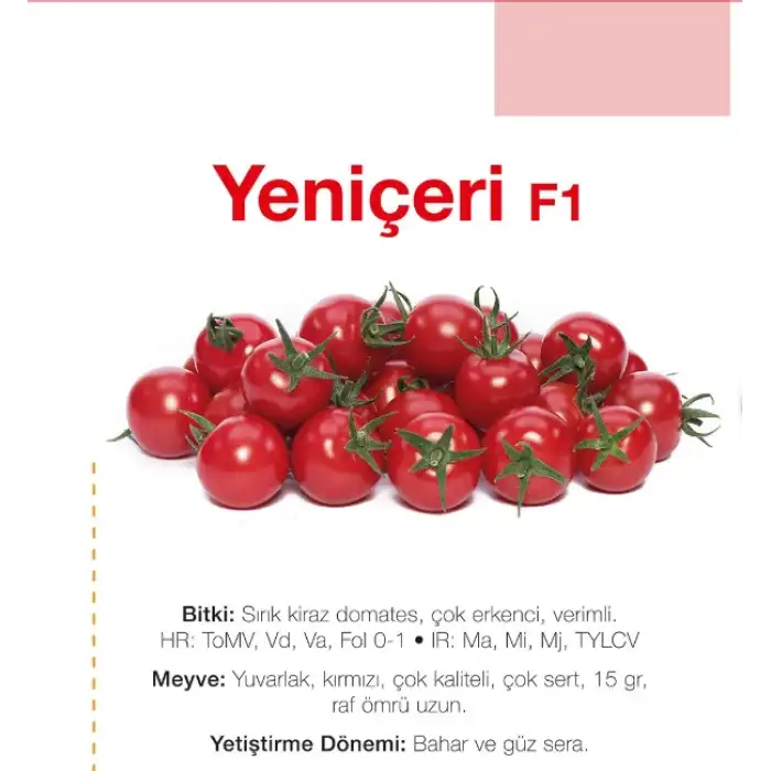 Yeniçeri F1 Sırık Kiraz Domates Tohumu
