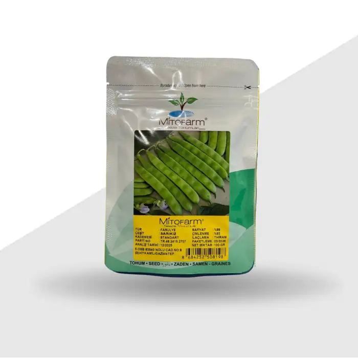Sarıkız Oturak Fasulye Tohumu