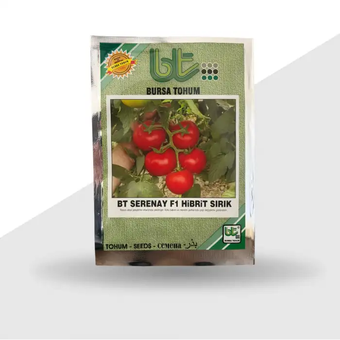 Serenay F1 Sırık İri Tane Domates Fidesi