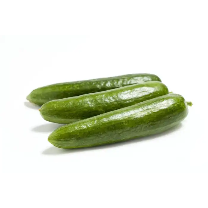 Altay F1 Oturak Hıyar Fidesi