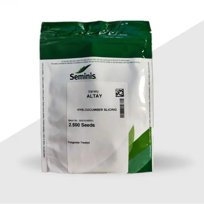 Altay F1 Oturak Hıyar Tohumu