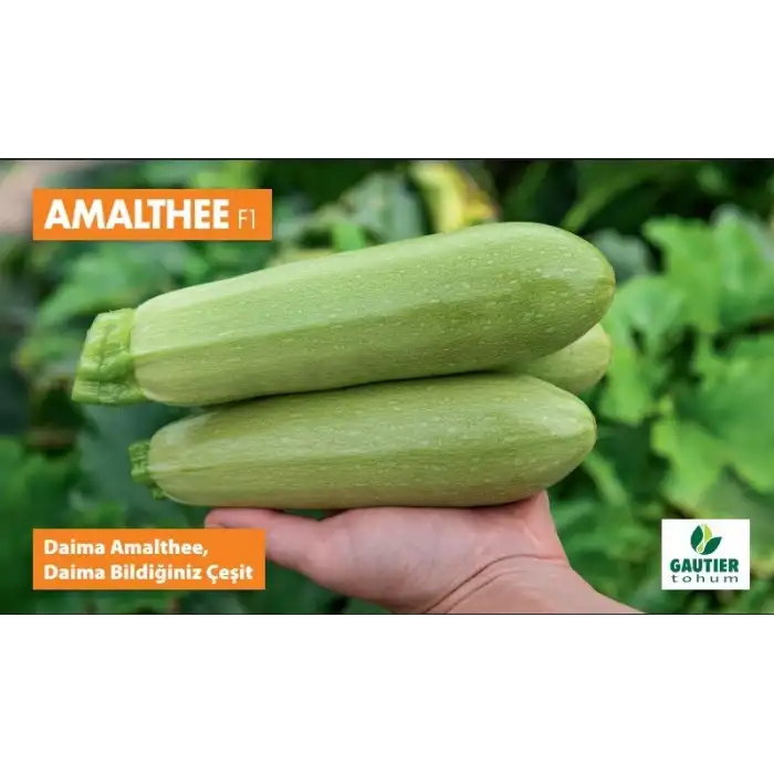 Amalthee F1 Kabak Tohumu 100 Gram