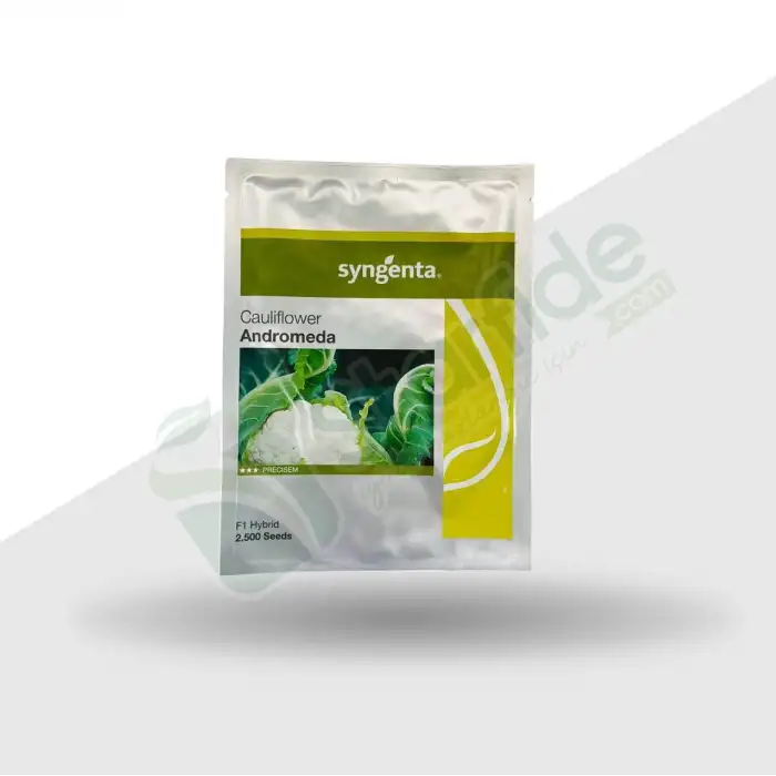 Andromeda F1 Karnabahar Tohumu 2.500 Adet