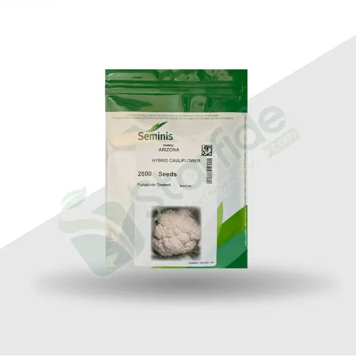 Arizona F1 Karnabahar Tohumu 2.500 Adet