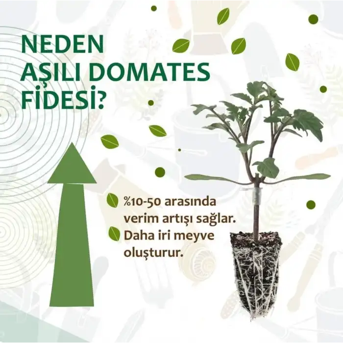 Aşılı Fide Hobi Seti 98 Adet