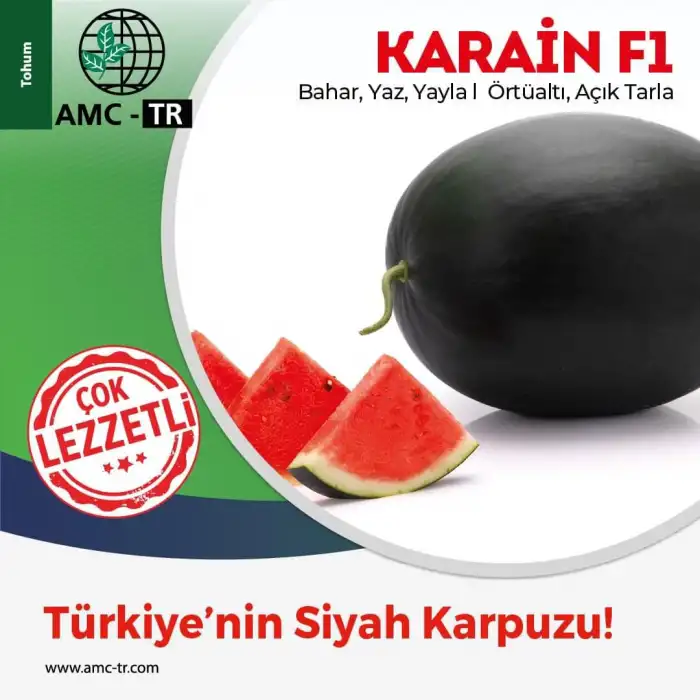 Aşılı Karain F1 Siyah Karpuz Fidesi