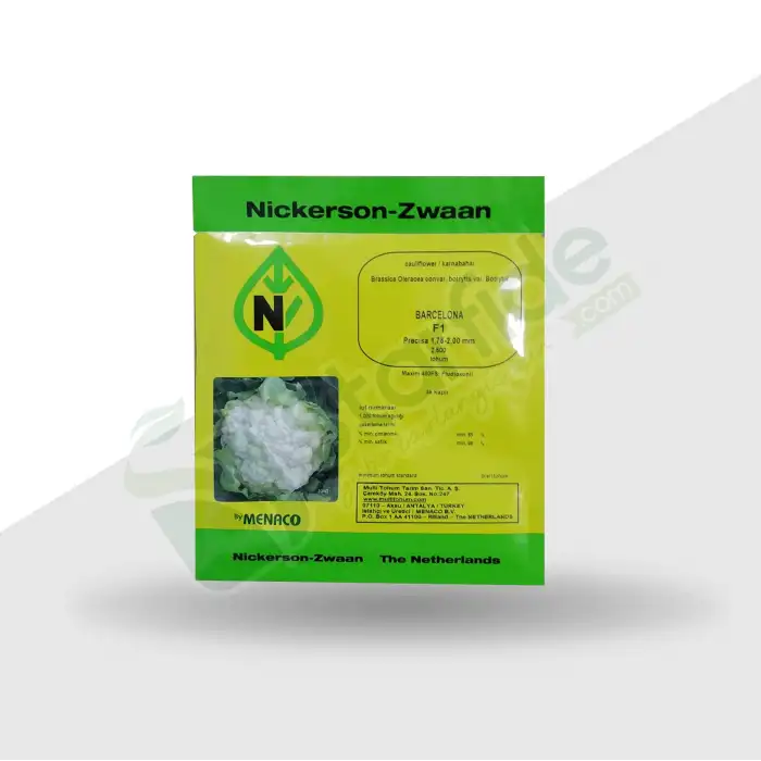 Barcelona F1 Karnabahar Tohumu 2.500 Adet