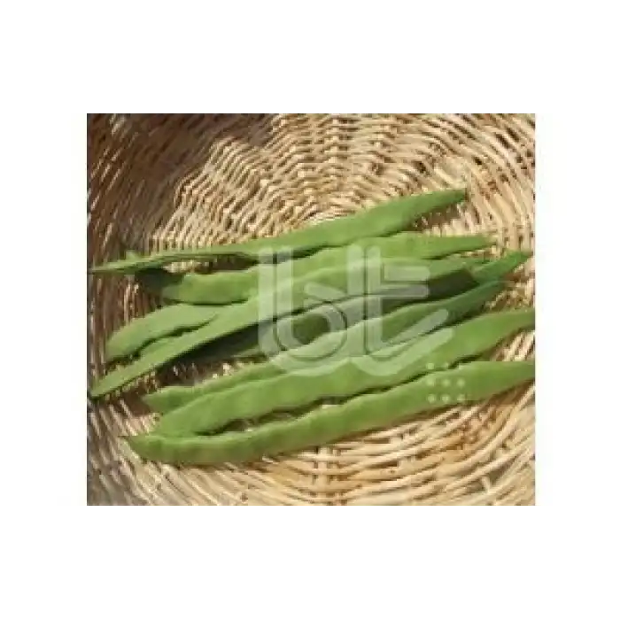 BT Alman Ayşe 7 Sırık Fasülye Tohumu 250 Gr