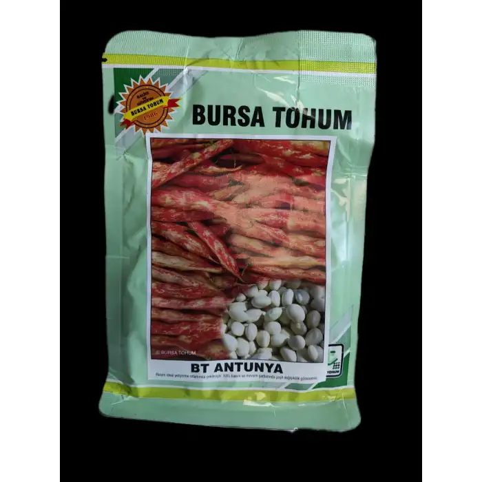 BT Antunya Beyaz Daneli Barbunya Tohumu