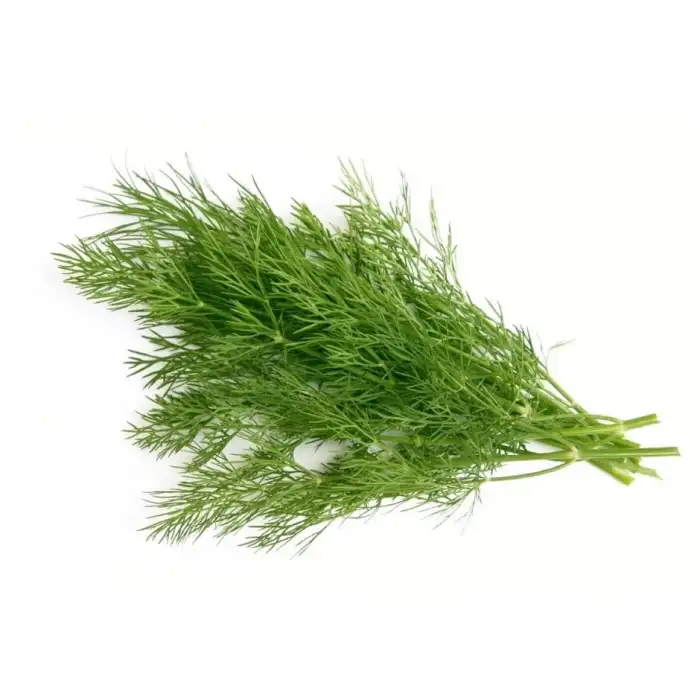 BT Dereotu Tohumu 25 Gr