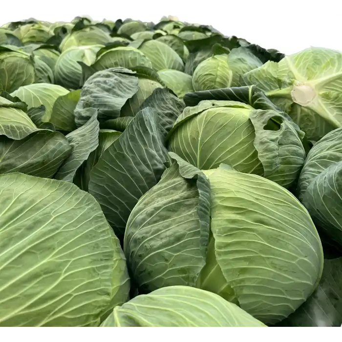 Devator F1 Beyaz Lahana Fidesi