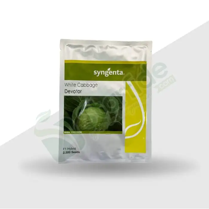 Devator F1 Beyaz Lahana Tohumu 2.500 Adet