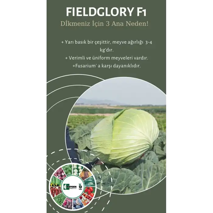 Fieldglory F1 Beyaz Lahana Fidesi