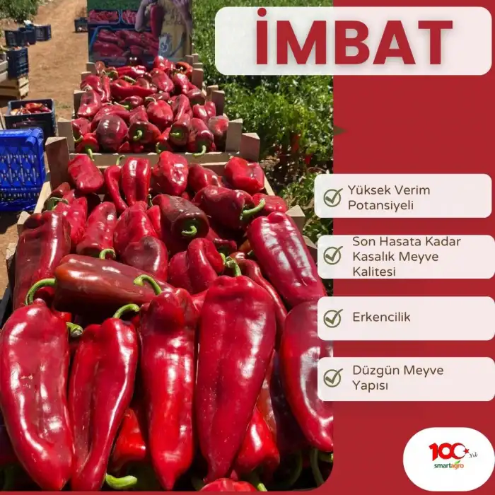 Imbat F1 Kapya Biber Tohumu 1000 Adet