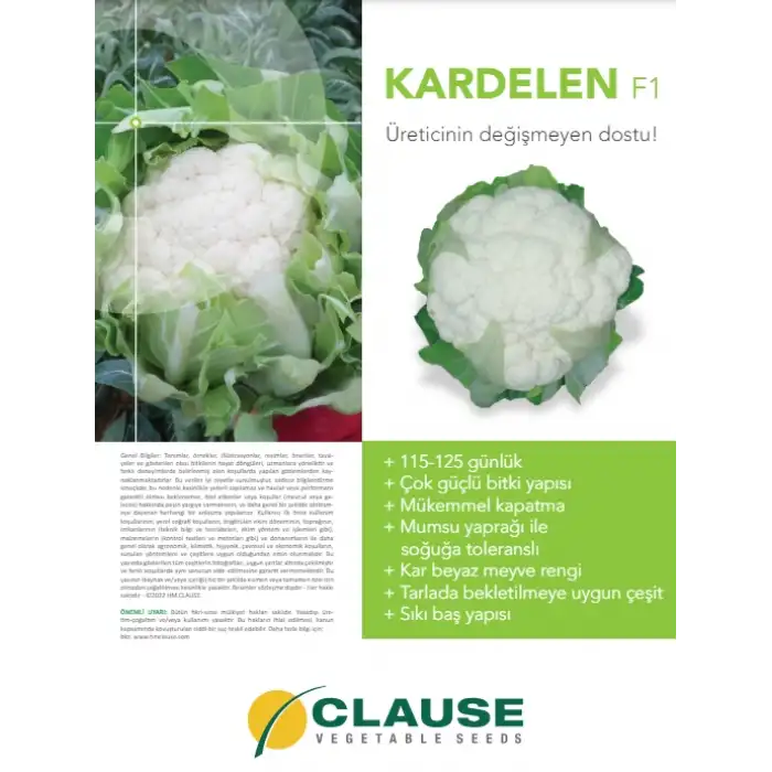 Kardelen F1 Karnabahar Fidesi