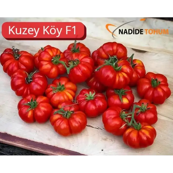 Kuzeyköy F1 Domates Tohumu 1.000 Adet