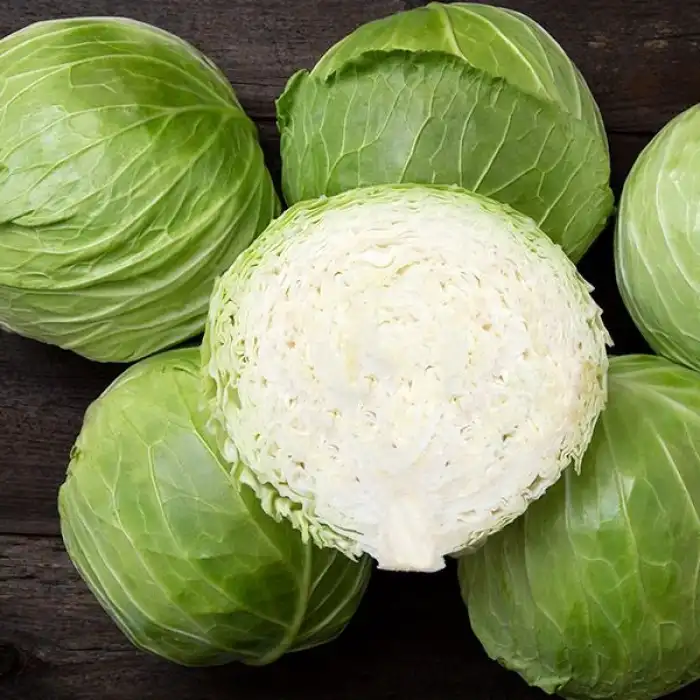 Megaton F1 Beyaz Lahana Fidesi