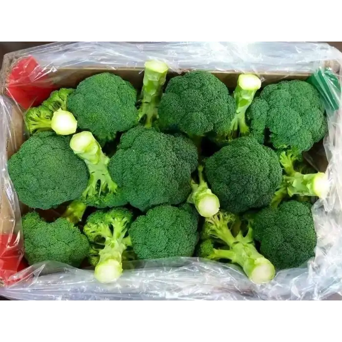 Parthenon F1 Brokoli Tohumu 2.500 Adet