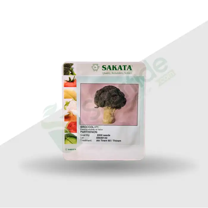 Parthenon F1 Brokoli Tohumu 2.500 Adet