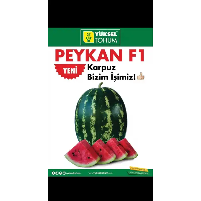 Peykan F1 Ala Karpuz Fidesi