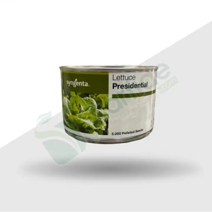 Presidential Yedikule Marul Tohumu 5.000 Adet