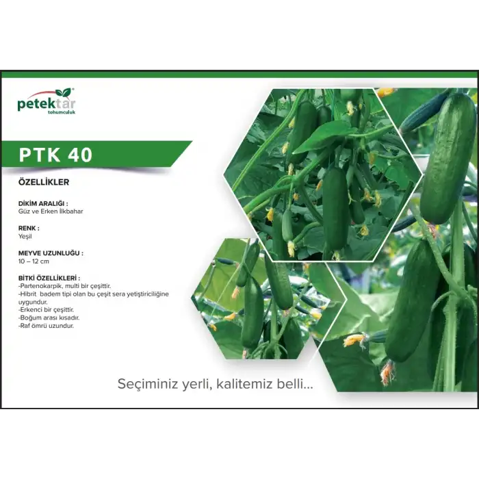 PTK 40 F1 Silor Hıyar Tohumu 500 Adet