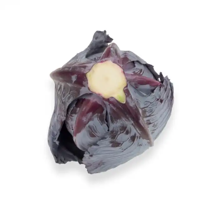 Redma F1 Kırmızı Lahana Fidesi